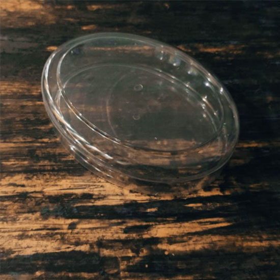 Transparent 7.75"x6.00" Oval Medium Crystal Box